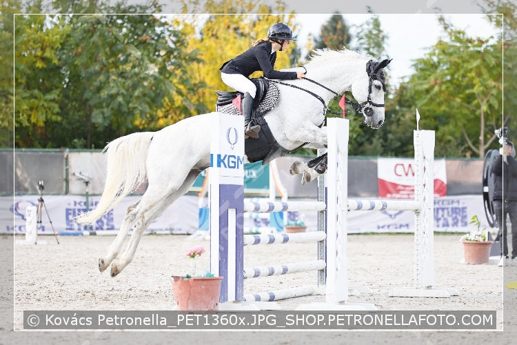 A kép az eredeti csökkentett reprezentációja