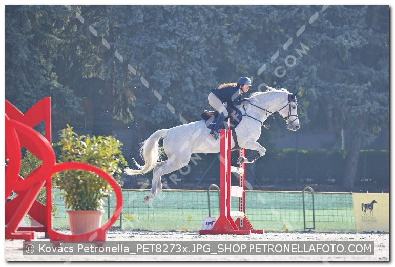 A kép az eredeti csökkentett reprezentációja