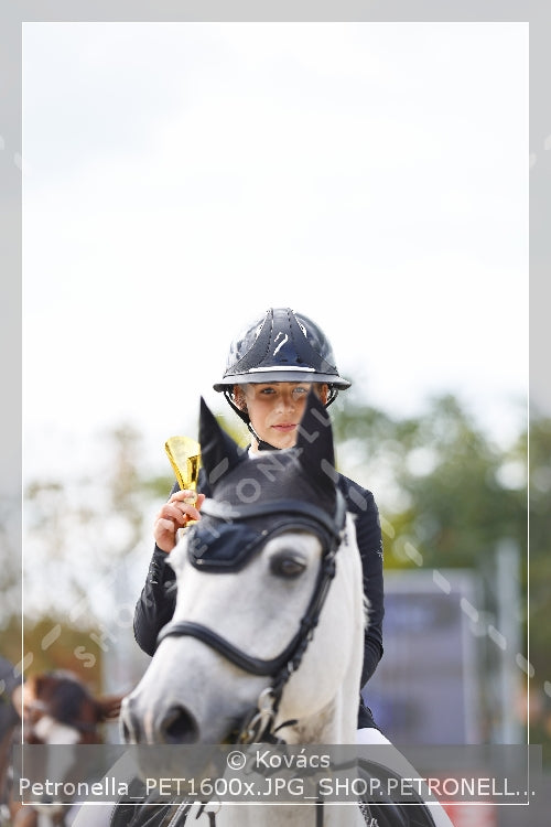 A kép az eredeti csökkentett reprezentációja