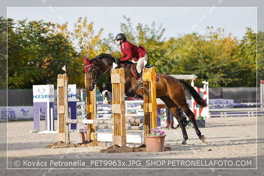 A kép az eredeti csökkentett reprezentációja