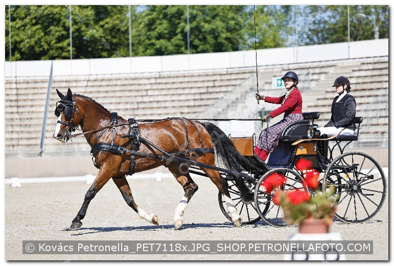 A kép az eredeti csökkentett reprezentációja