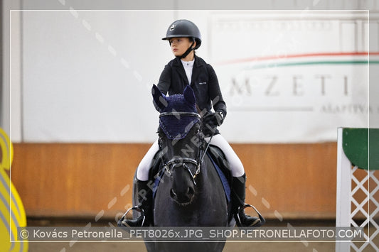 A kép az eredeti csökkentett reprezentációja