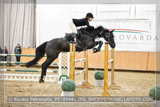 A kép az eredeti csökkentett reprezentációja