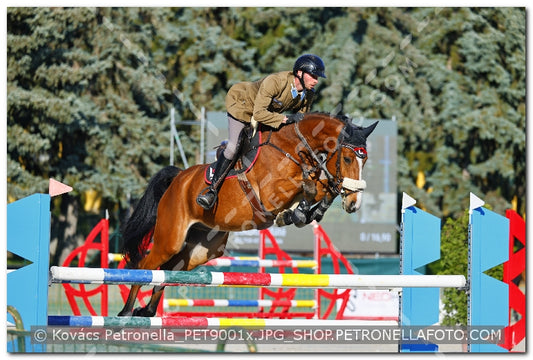 A kép az eredeti csökkentett reprezentációja