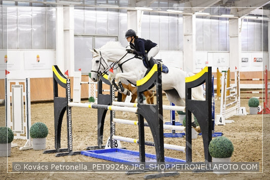 A kép az eredeti csökkentett reprezentációja