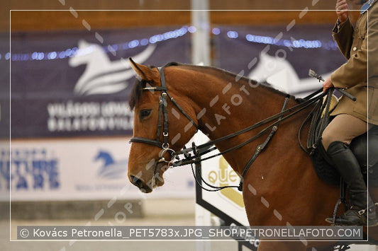 A kép az eredeti csökkentett reprezentációja