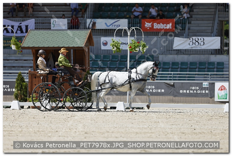 A kép az eredeti csökkentett reprezentációja