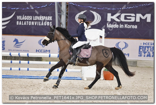 A kép az eredeti csökkentett reprezentációja