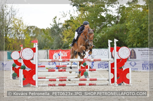 A kép az eredeti csökkentett reprezentációja