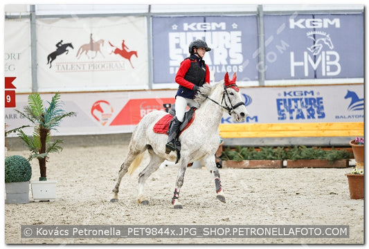 A kép az eredeti csökkentett reprezentációja