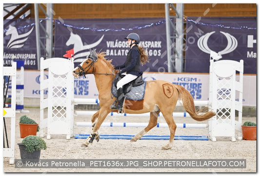 A kép az eredeti csökkentett reprezentációja