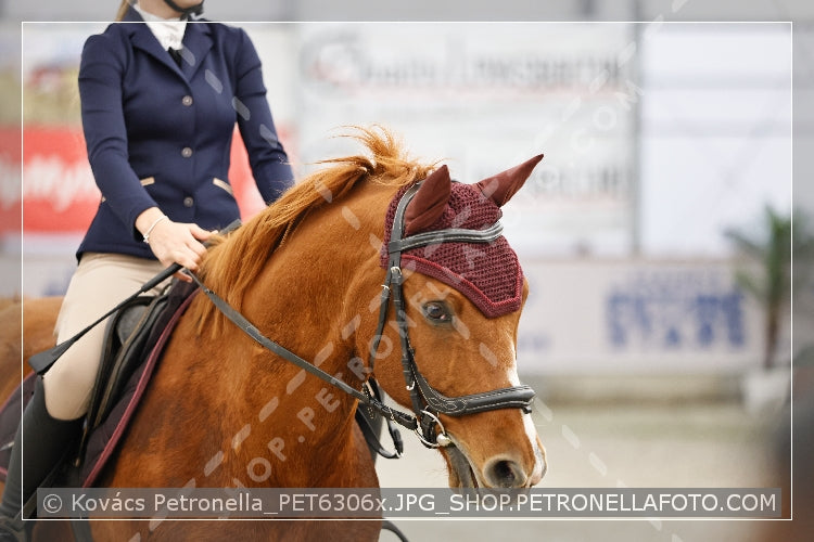 A kép az eredeti csökkentett reprezentációja
