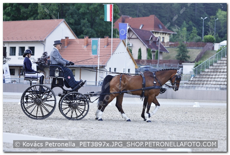 A kép az eredeti csökkentett reprezentációja