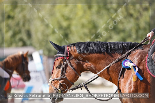 A kép az eredeti csökkentett reprezentációja