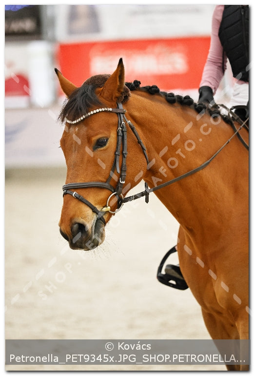 A kép az eredeti csökkentett reprezentációja