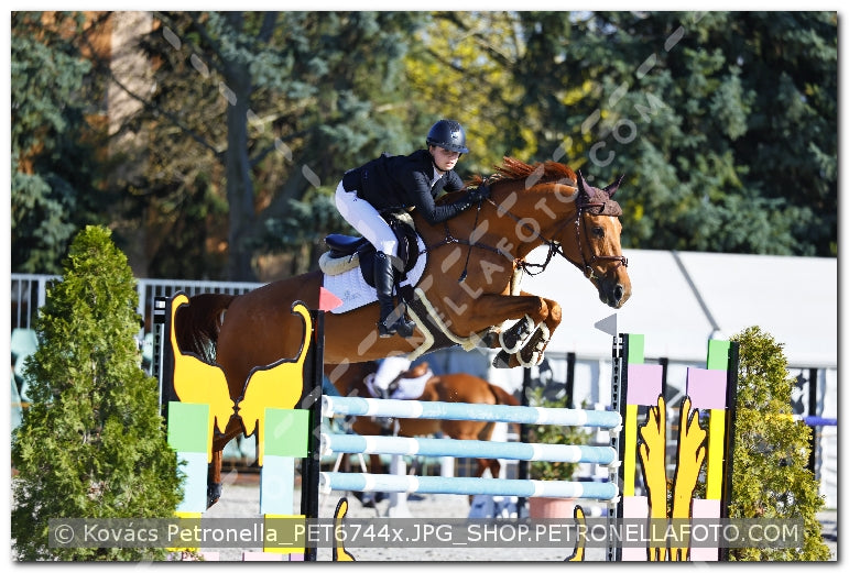 A kép az eredeti csökkentett reprezentációja