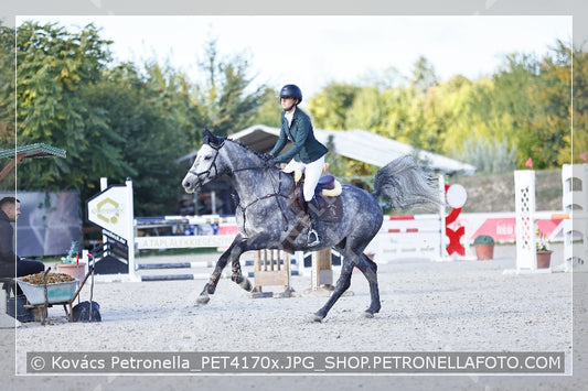 A kép az eredeti csökkentett reprezentációja