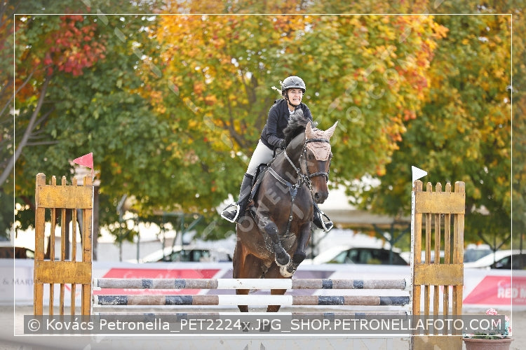 A kép az eredeti csökkentett reprezentációja