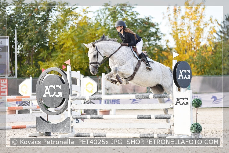 A kép az eredeti csökkentett reprezentációja