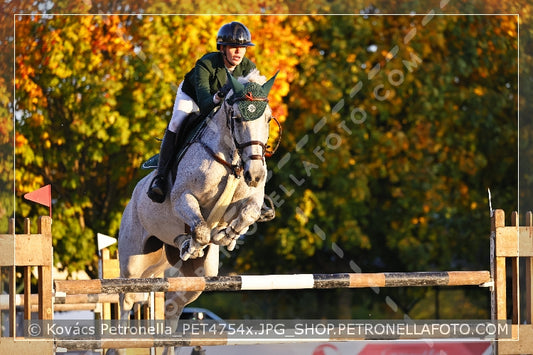 A kép az eredeti csökkentett reprezentációja