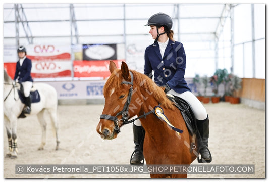 A kép az eredeti csökkentett reprezentációja