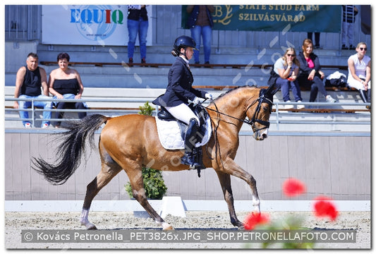 A kép az eredeti csökkentett reprezentációja