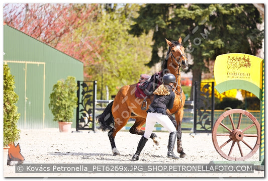 A kép az eredeti csökkentett reprezentációja