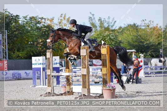 A kép az eredeti csökkentett reprezentációja