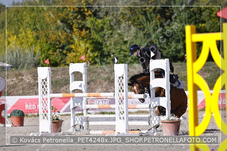 A kép az eredeti csökkentett reprezentációja