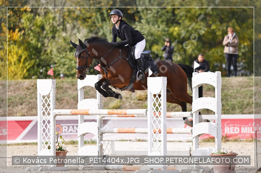 A kép az eredeti csökkentett reprezentációja