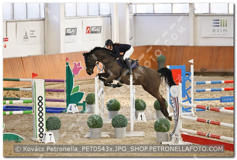 A kép az eredeti csökkentett reprezentációja