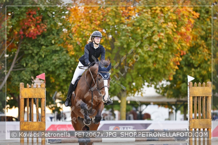 A kép az eredeti csökkentett reprezentációja