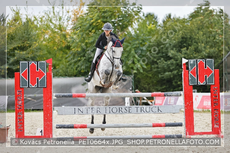 A kép az eredeti csökkentett reprezentációja