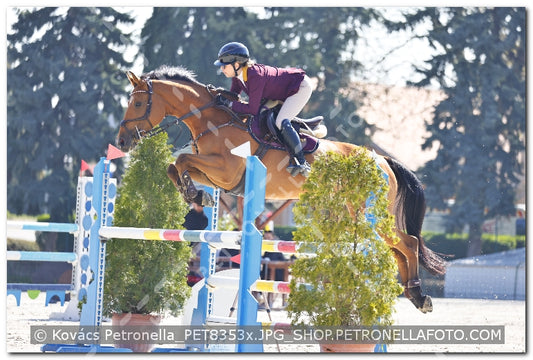 A kép az eredeti csökkentett reprezentációja