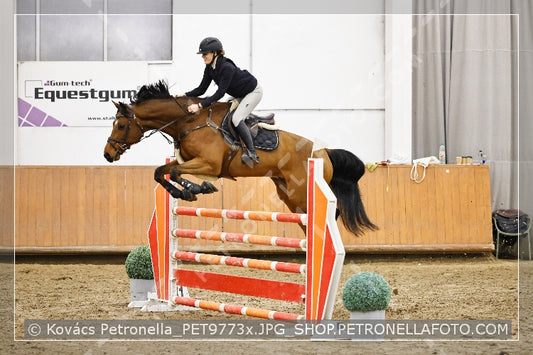 A kép az eredeti csökkentett reprezentációja