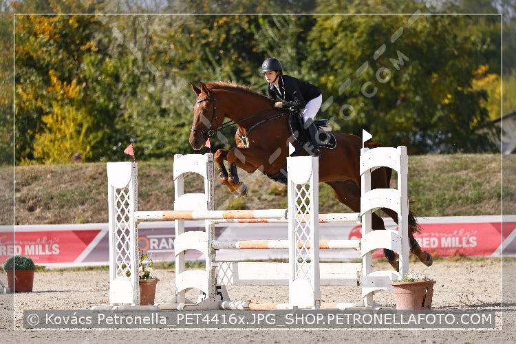 A kép az eredeti csökkentett reprezentációja