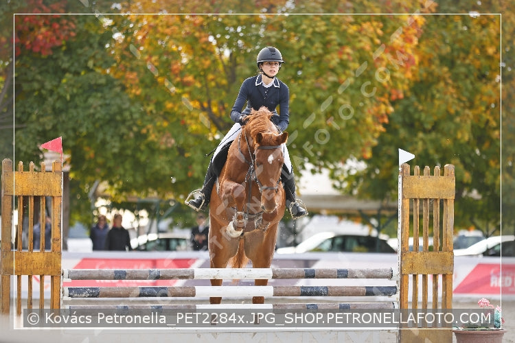 A kép az eredeti csökkentett reprezentációja