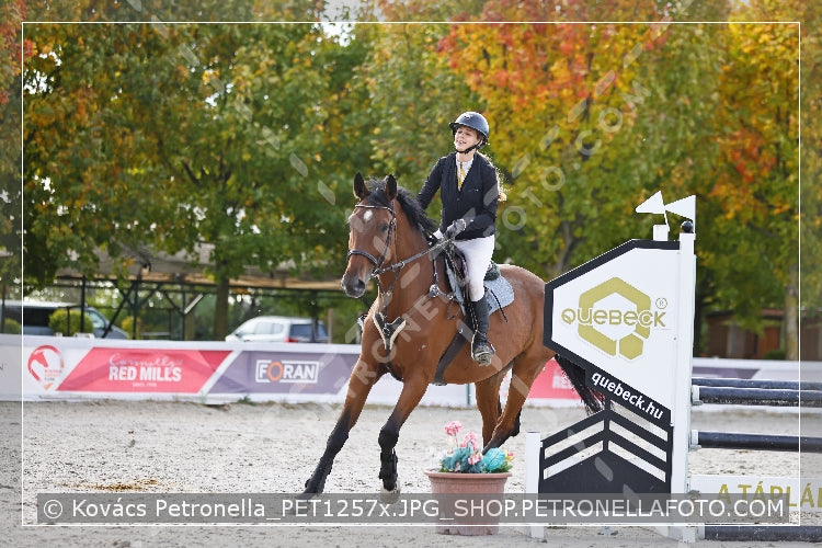 A kép az eredeti csökkentett reprezentációja