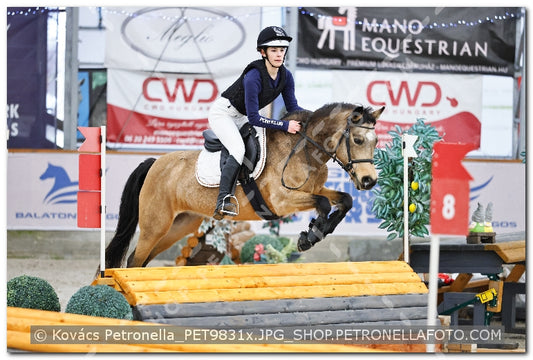 A kép az eredeti csökkentett reprezentációja