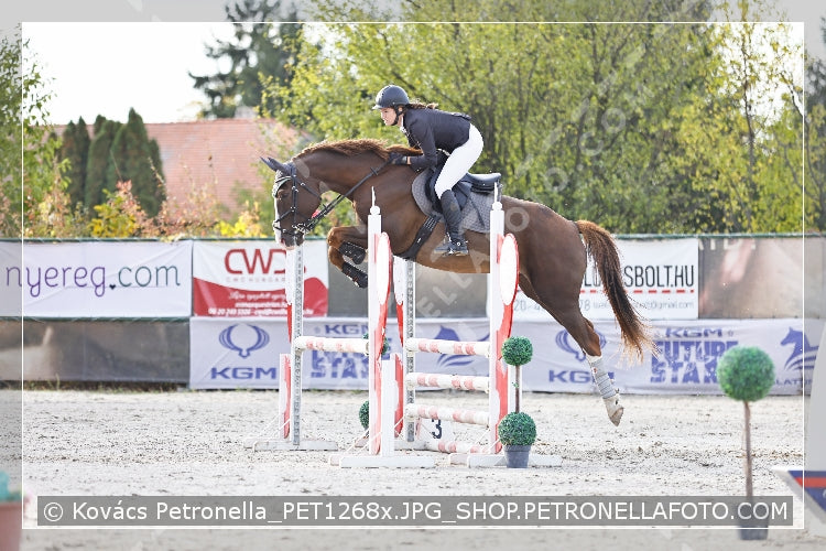 A kép az eredeti csökkentett reprezentációja