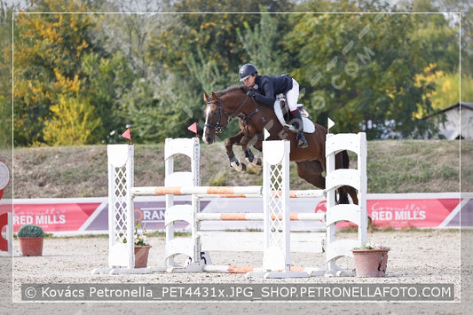 A kép az eredeti csökkentett reprezentációja