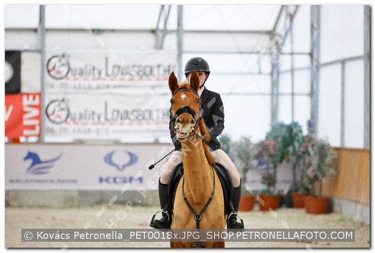 A kép az eredeti csökkentett reprezentációja