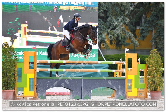 A kép az eredeti csökkentett reprezentációja