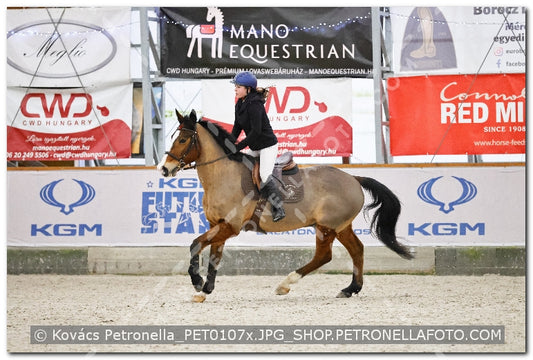 A kép az eredeti csökkentett reprezentációja
