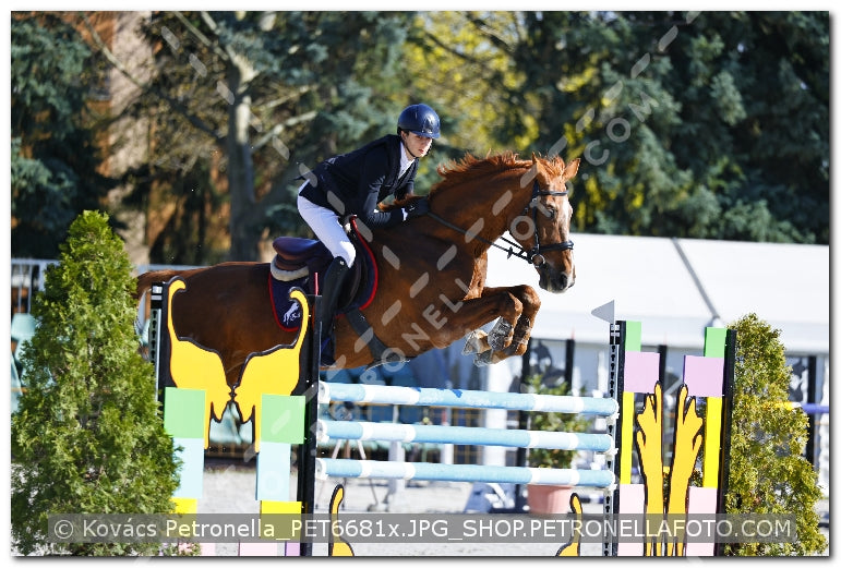 A kép az eredeti csökkentett reprezentációja