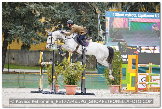A kép az eredeti csökkentett reprezentációja