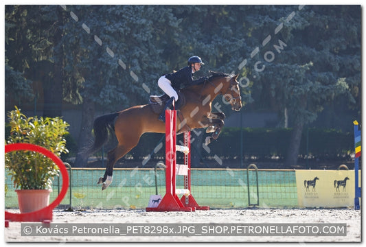 A kép az eredeti csökkentett reprezentációja
