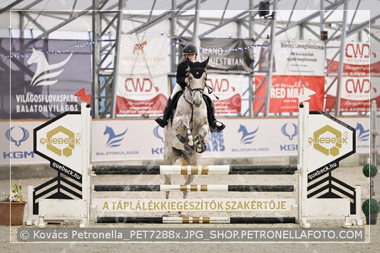 A kép az eredeti csökkentett reprezentációja