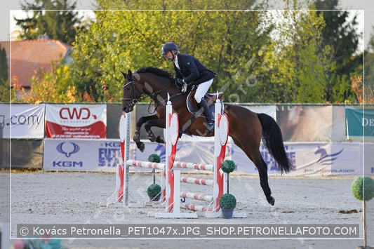 A kép az eredeti csökkentett reprezentációja