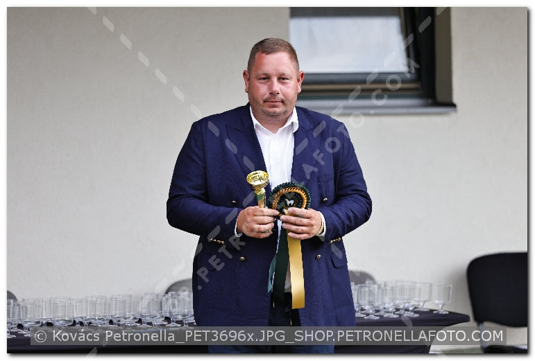 A kép az eredeti csökkentett reprezentációja
